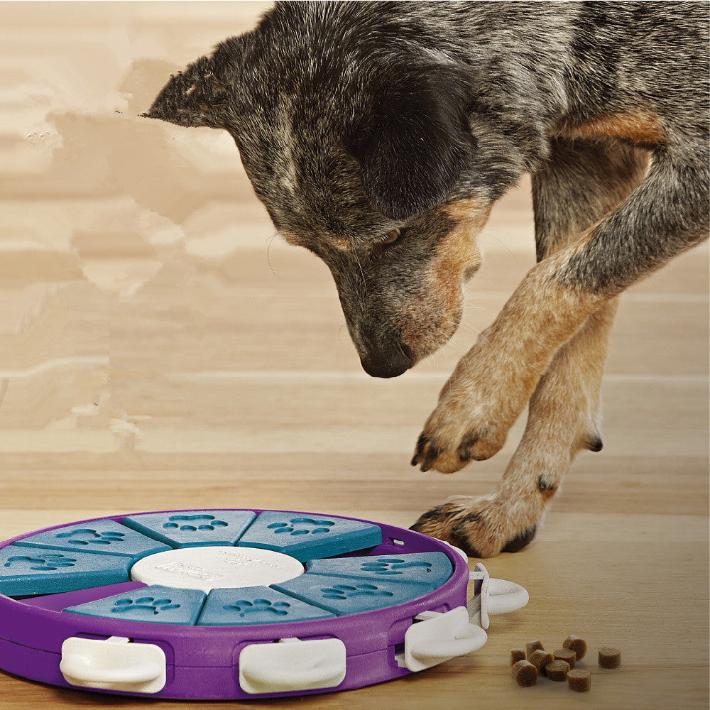 Splendid educational toy for Dogs