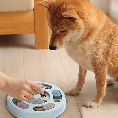 Puzzle Feeding Bowls