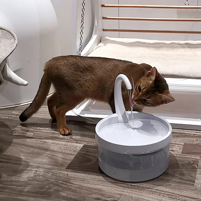 Automatic Circulation Drinking Fountain