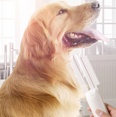 Pet Grooming Brush