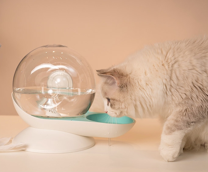 Cat filtering automatic drinking fountain