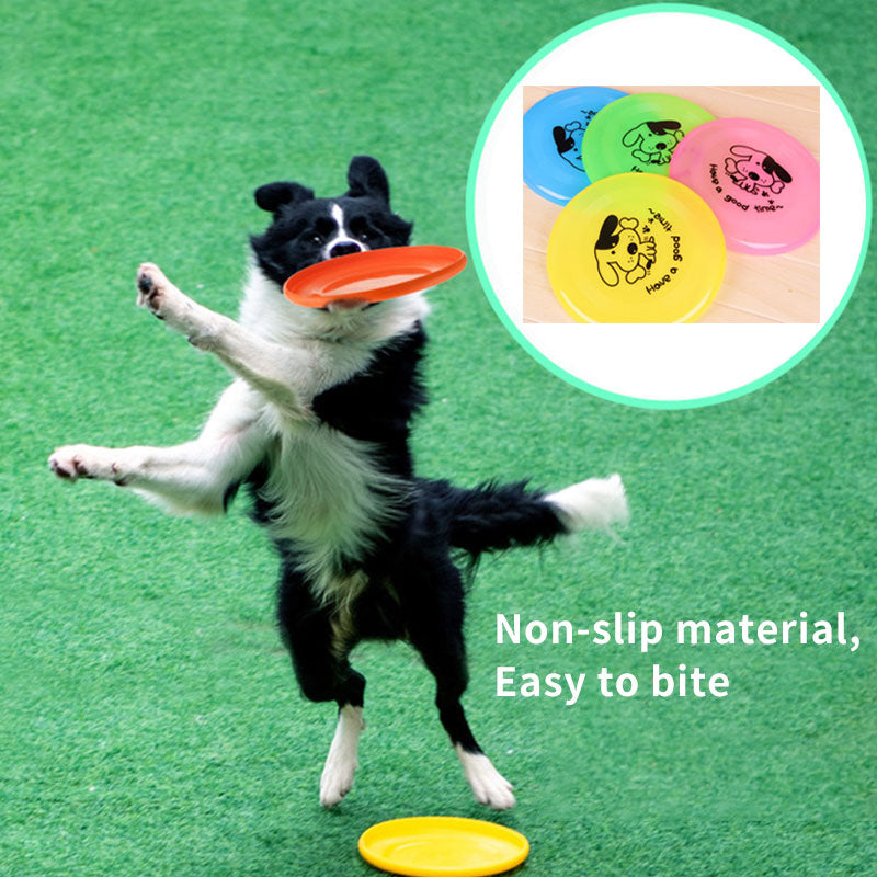 Frisbee Outdoor Interactive Toys for dogs