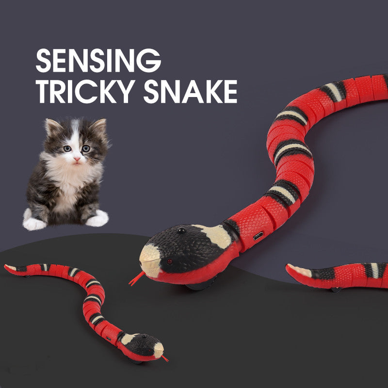 Smart Sensing Snake